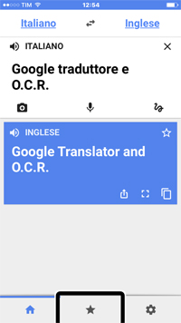 screenshot di google traduttore