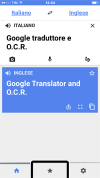screenshot di google traduttore