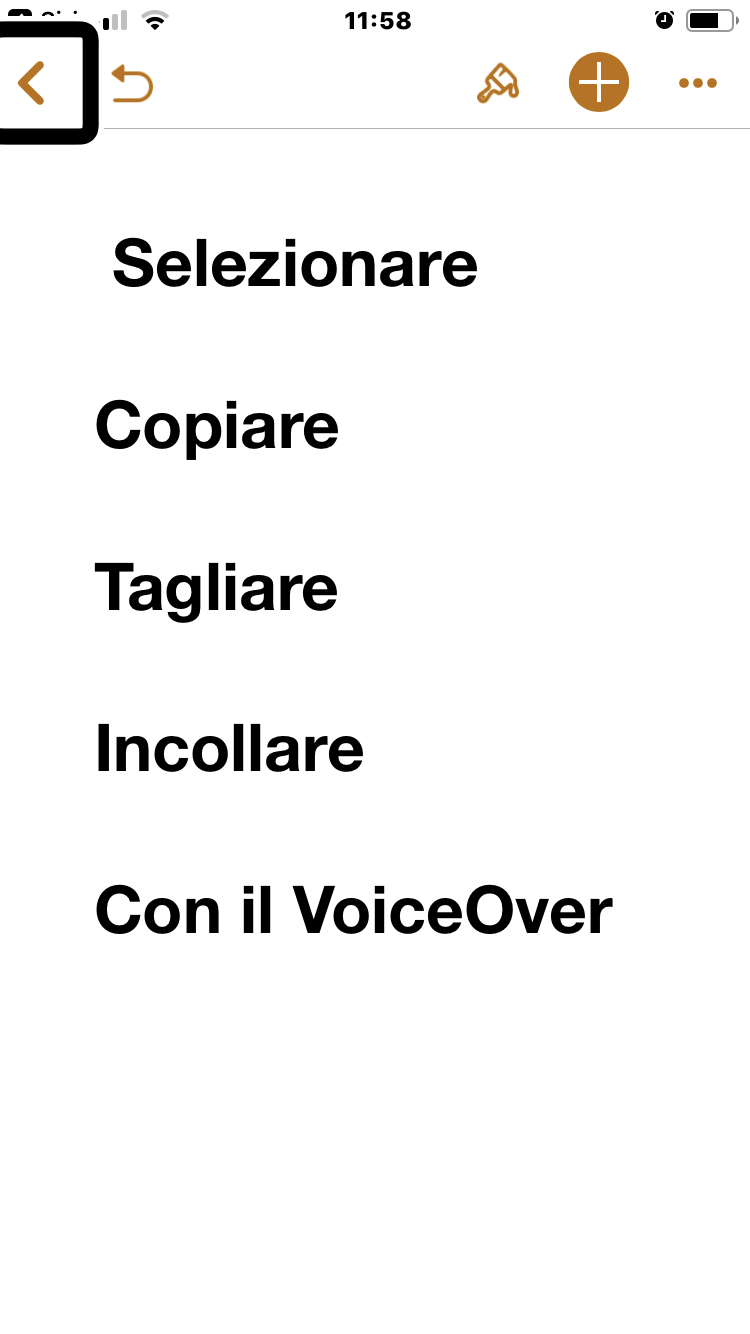 immagine di un iPhone con la scritta: seleziona, copia, taglia e incolla
