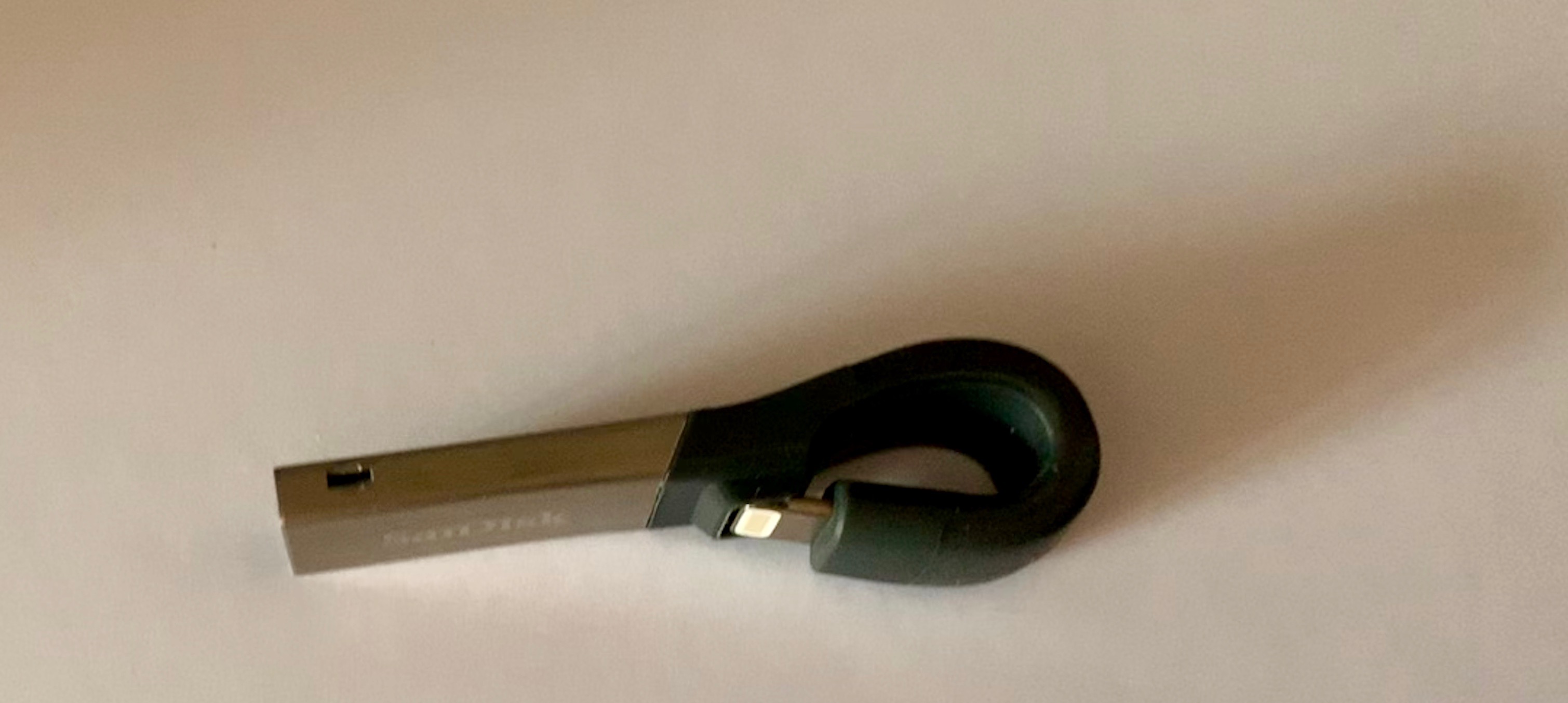 immagine di IXpand flash drive 