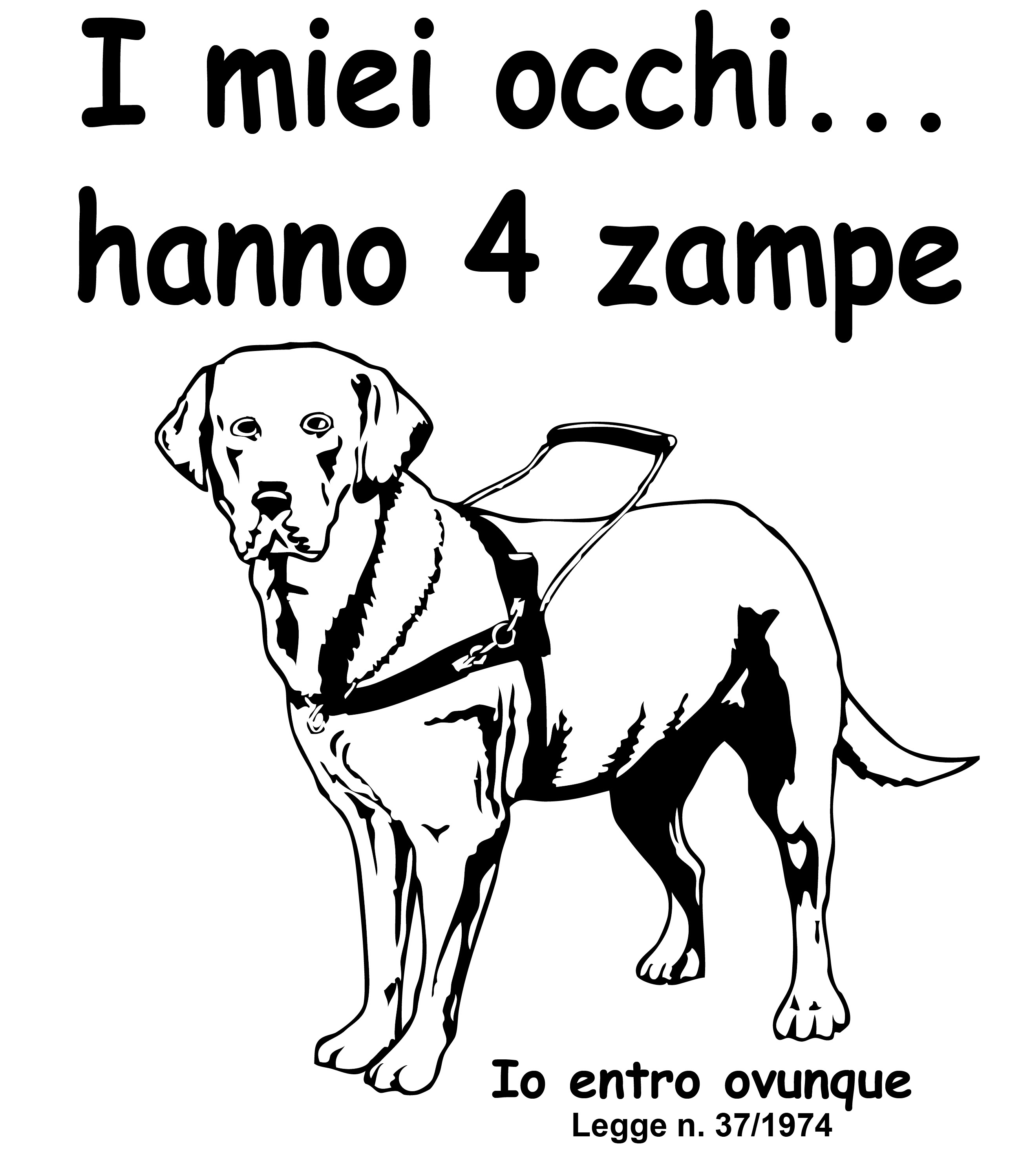 I miei occhi a 4 zampe