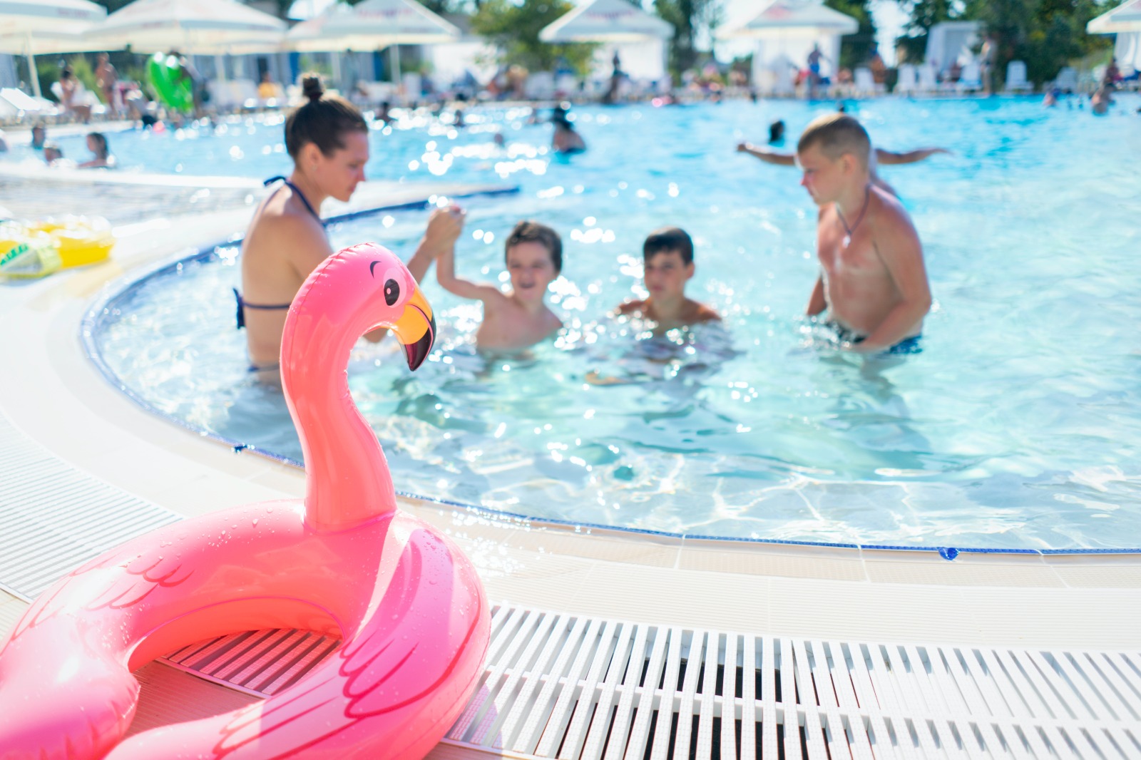 ‎Foto, l'immagine ritrae una piscina rotonda con tanta gente. in primissimo piano un salvagente a forma di airone rosa poggiato sul bordo piscina. dietro, in secondo piano col viso sfocato, due bambini, un ragazzino e la mamma che giocano insieme