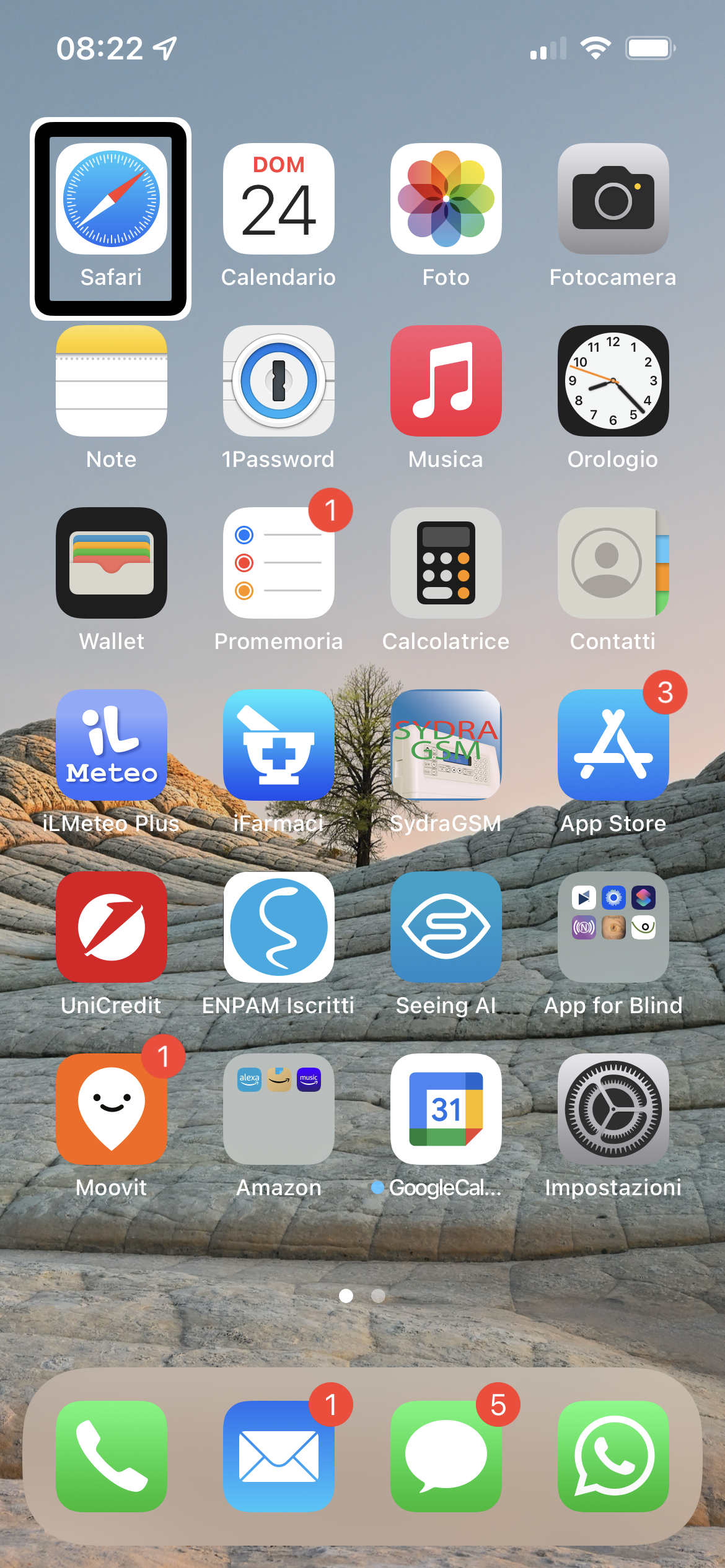 nell’immagine uno screenshot della pagina home di un iPhone
