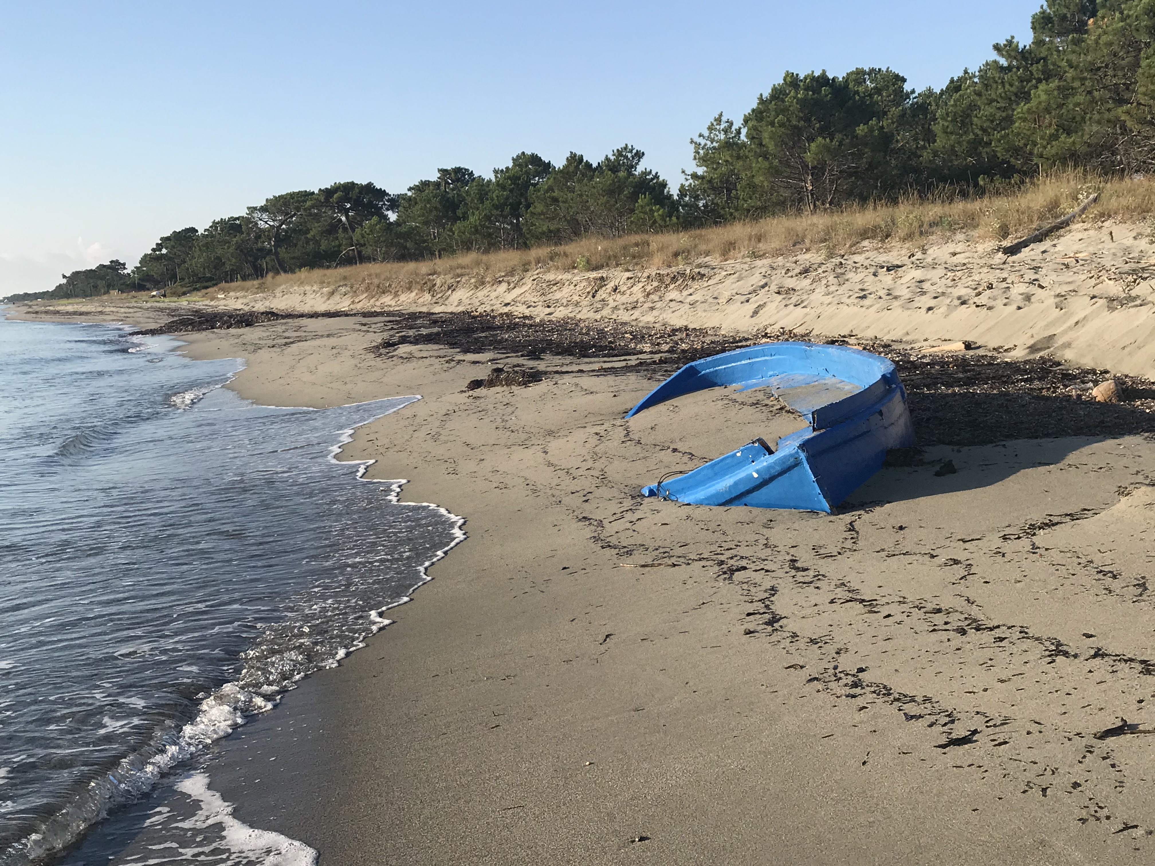 Nell’immagine c’è la foto utilizzata per la copertina dell’Antologia del concorso letterario Città di Ravenna, edizione 2022 che aveva per tema: “Storie di mare”.

Sotto un cielo azzurro una spiaggia di sabbia dorata si perde nello sfondo di pini e vegetazione mediterranea.

Sulla sinistra piccole onde di mare si infrangono sulla battigia.

Sulla spiaggia una barchetta in legno blu giace semi-coperta dalla sabbia. 


