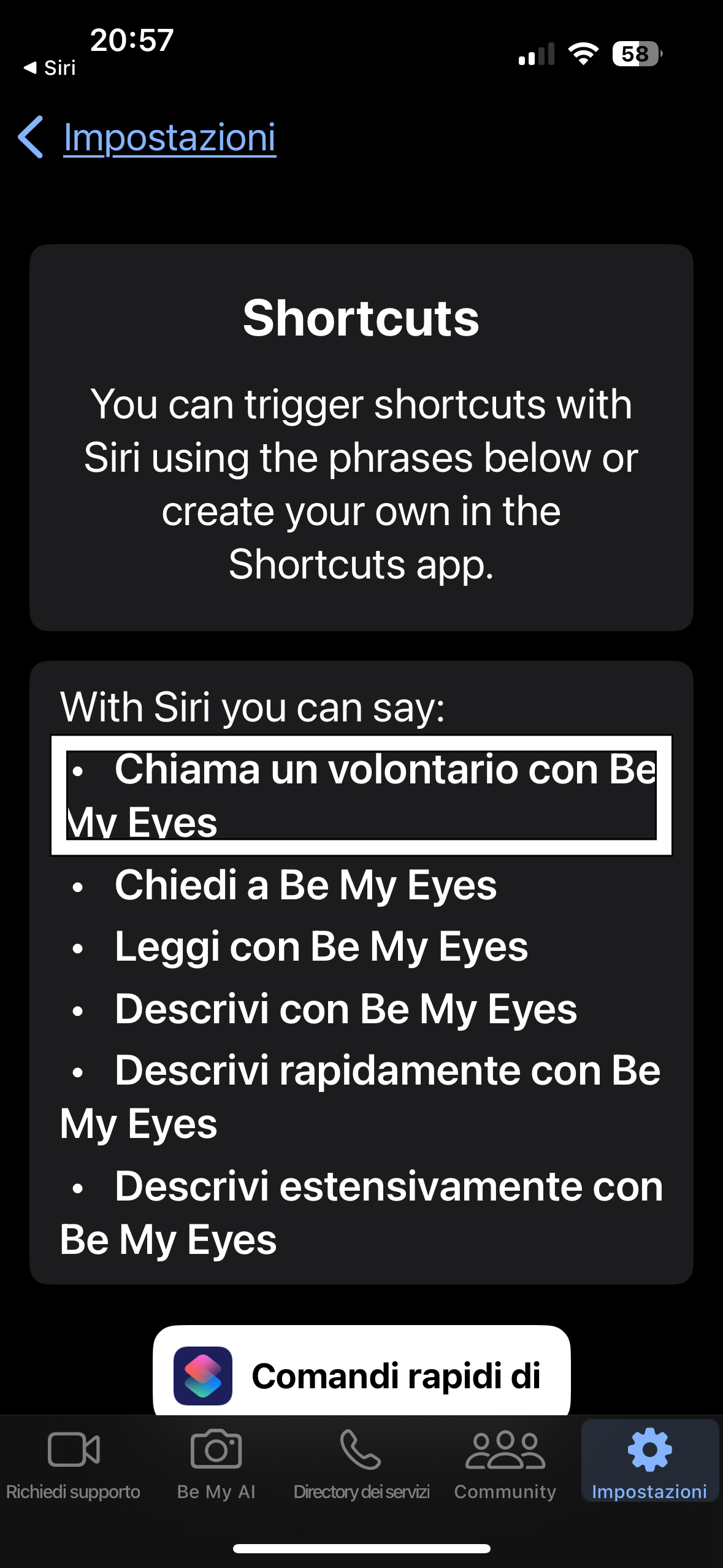 nell’immagine uno screenshot dell’iPhone aperto nell’applicazione Be My Eyes mentre è in uso