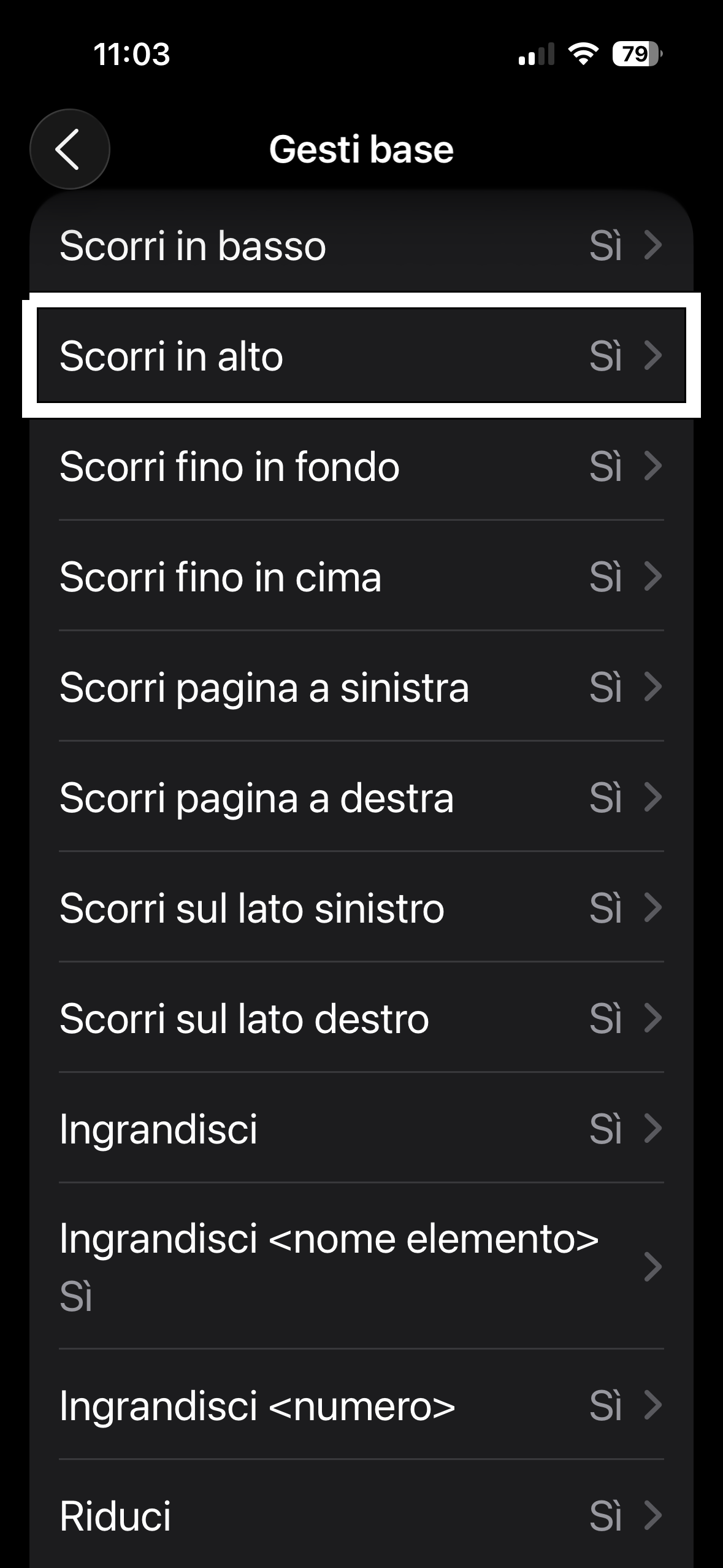  nell’immagine uno screenshot dell’iPhone aperto in impostazioni e più precisamente nella nuova sezione controllo vocale