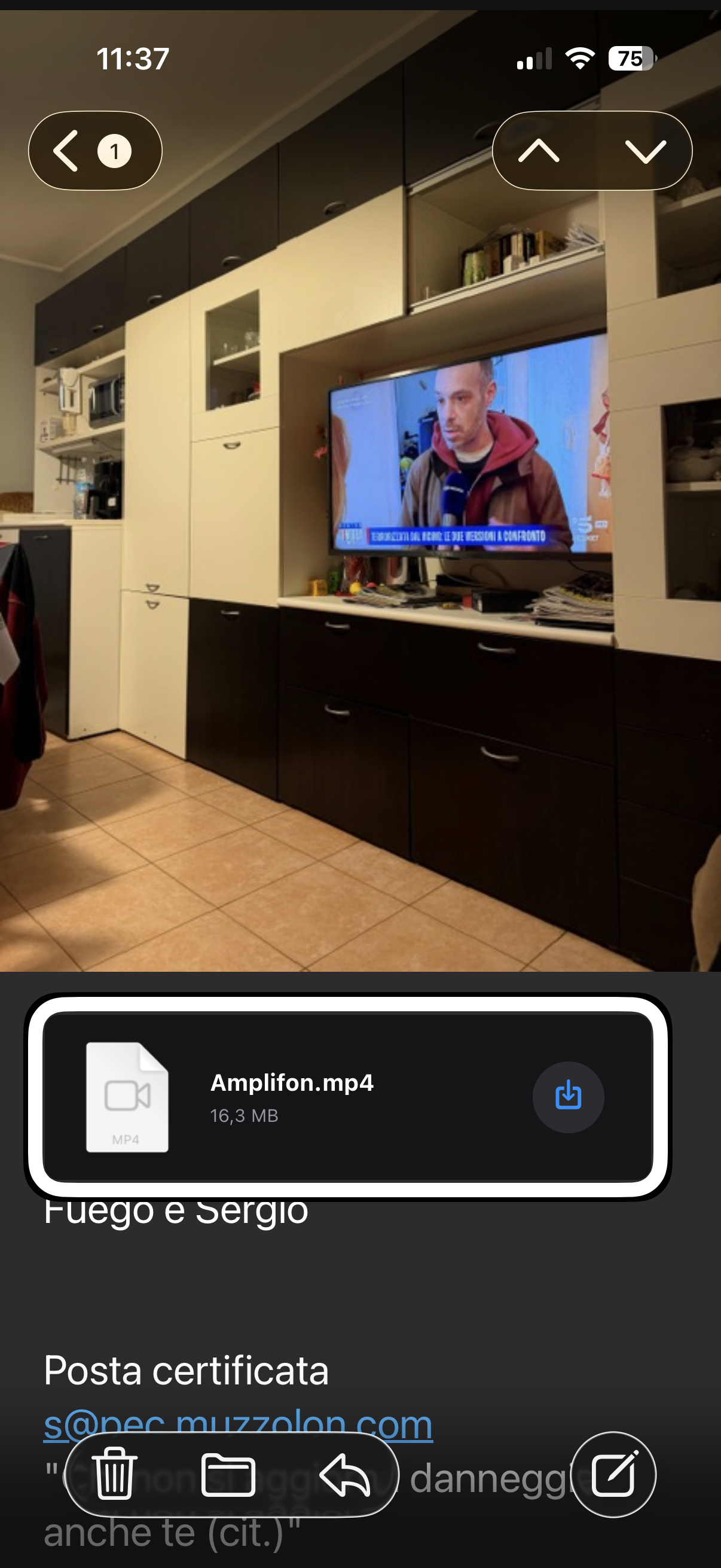 nell’immagine uno screenshot dell’iPhone aperto nell’applicazione email in una risposta con allegati
