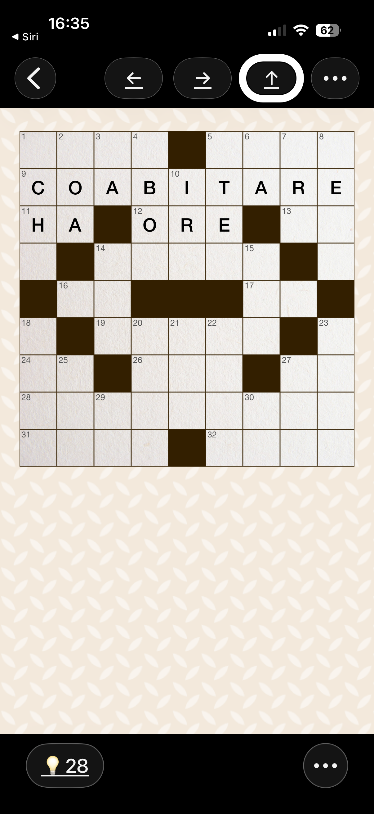 nell’immagine uno screenshot dell’iPhone aperto durante l’esposizione dell’applicazione cruciverba